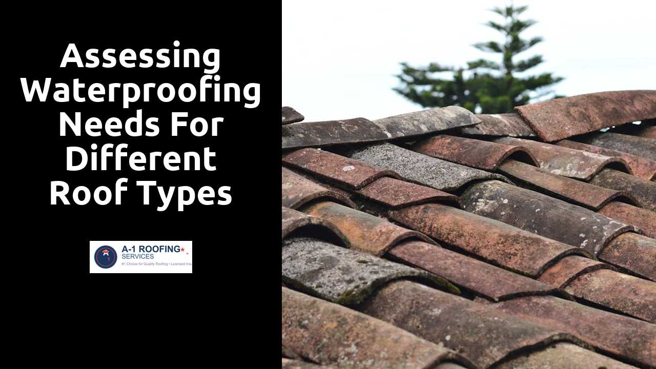 Assessing Waterproofing Needs for Different Roof Types