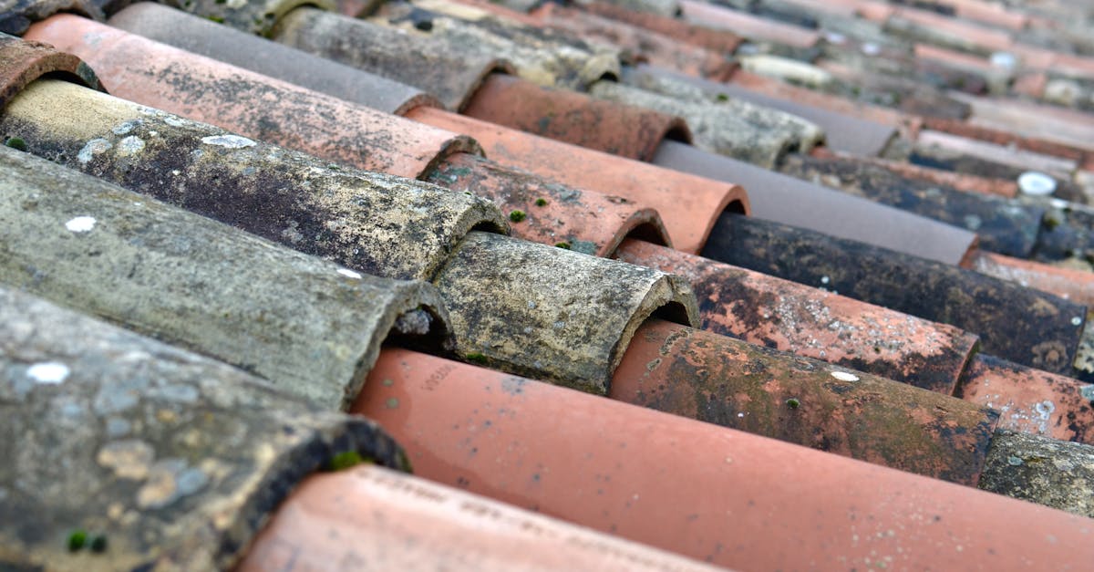 Assessing Waterproofing Needs for Different Roof Types