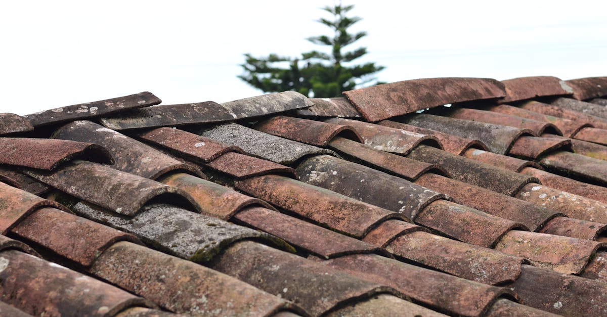 Common Issues and Repairs for Wood Shake Roofs