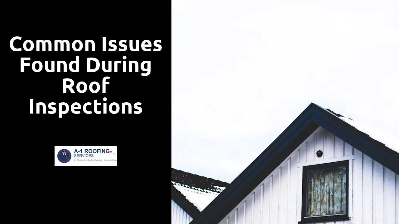Common Issues Found During Roof Inspections