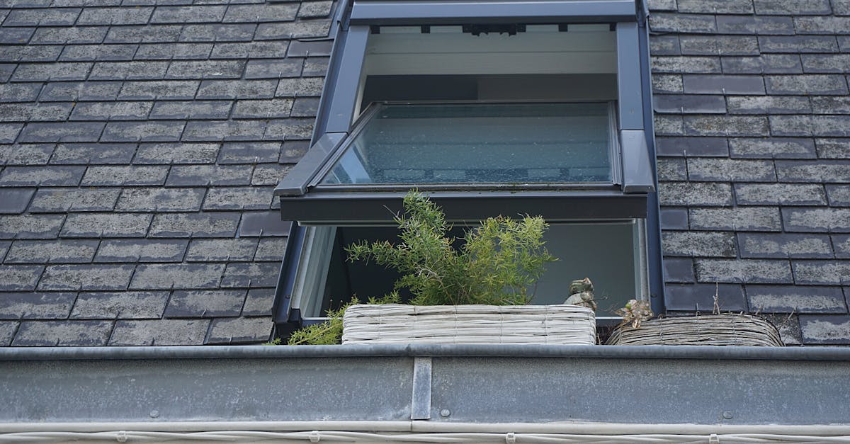 Common Mistakes to Avoid in Roof Ventilation Installation