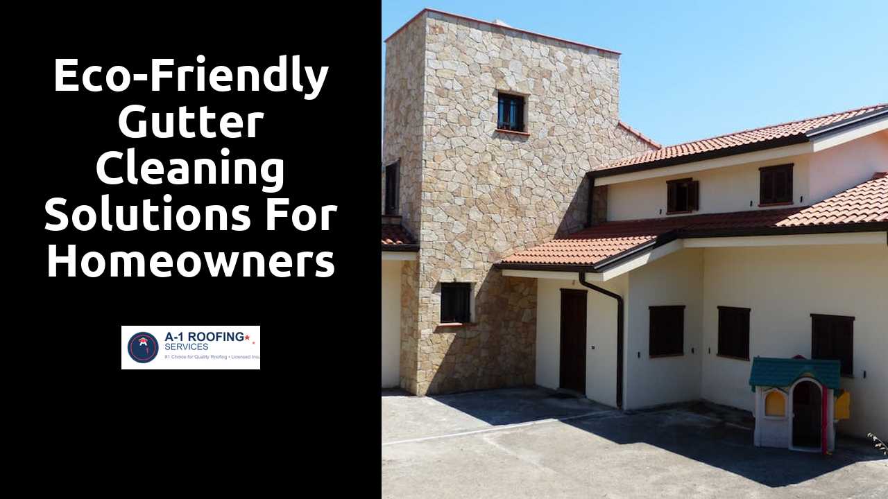 Eco-Friendly Gutter Cleaning Solutions for Homeowners