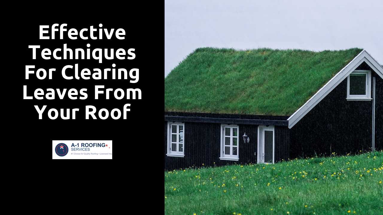 Effective Techniques for Clearing Leaves from Your Roof