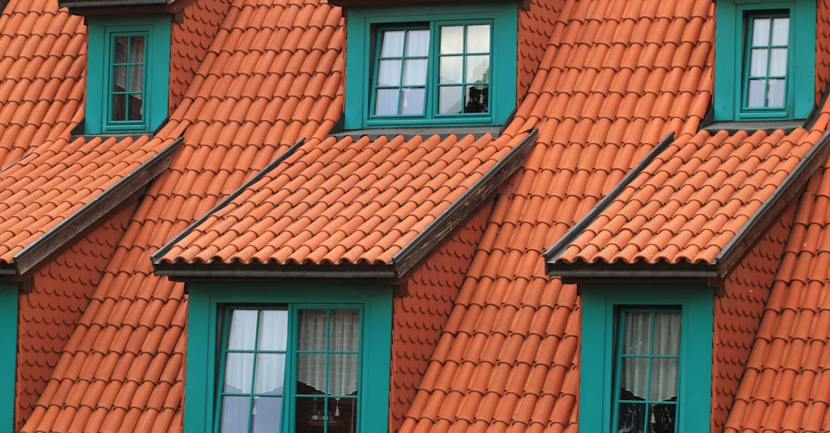 Essential Tools for Effective Gutter Cleaning