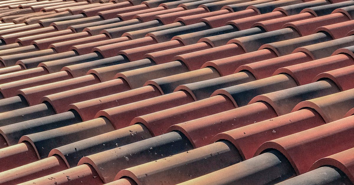 Pros and Cons of Standing Seam Metal Roofing for Businesses