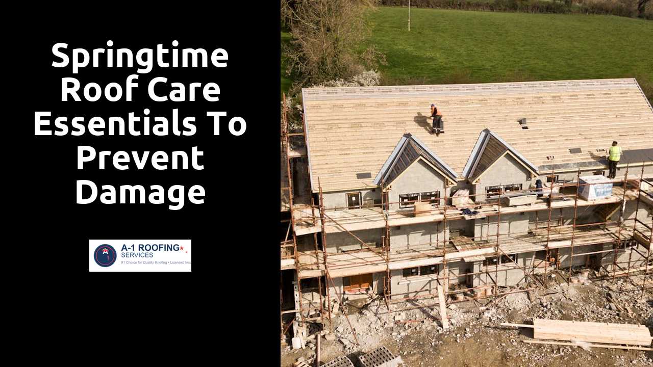 Springtime Roof Care Essentials to Prevent Damage