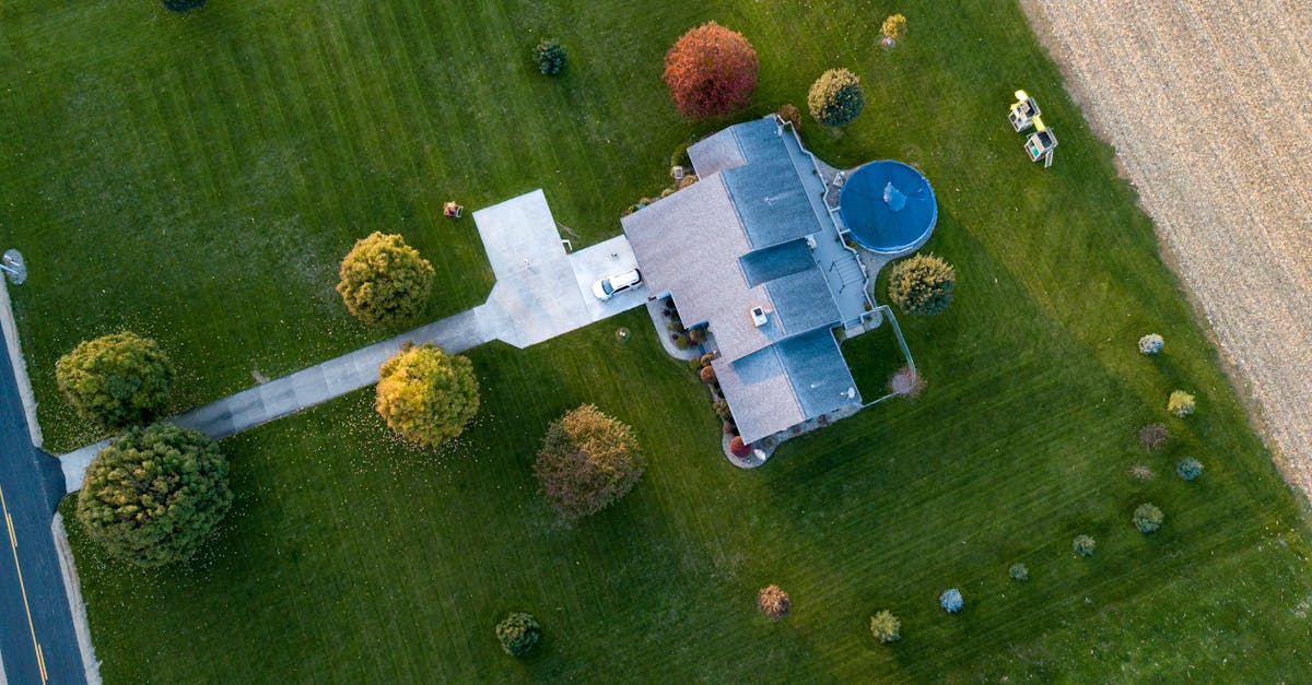 Step-by-Step Guide to Gutter Cleaning for Homeowners