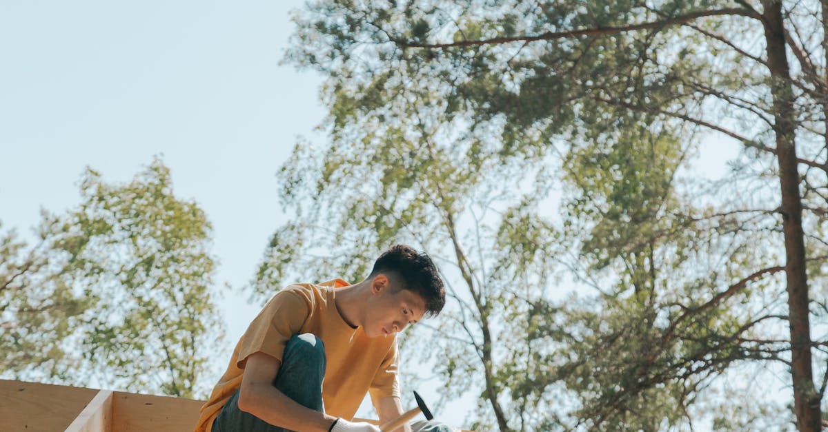 The Importance of Landscaping in Roof Maintenance